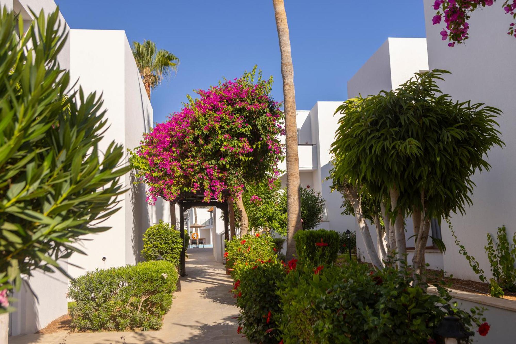 Kapetanios Aqua Resort Bahía de Coral Exterior foto